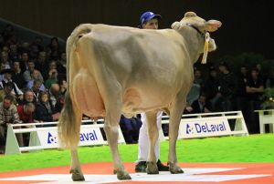 Bruna12 145